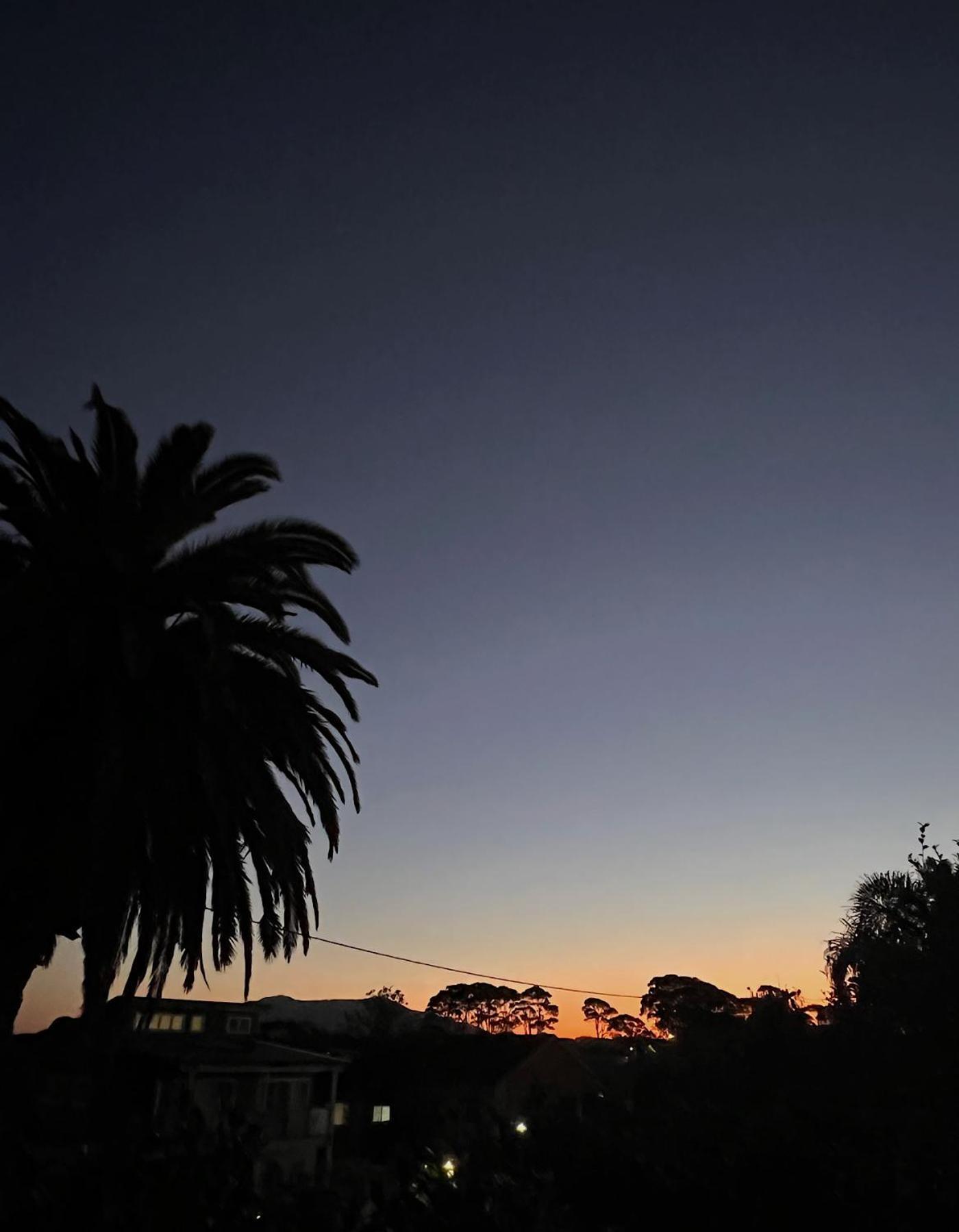 Narooma Palms Holiday Apartments Екстериор снимка